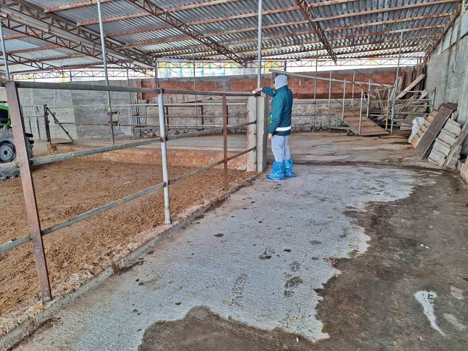 Tavşanlı’da hayvancılık işletmelerine yönelik besilik hayvan kapasite tespit çalışması
Tavşanlı’da hayvancılık işletmelerine yönelik besilik hayvan kapasite tespit çalışması