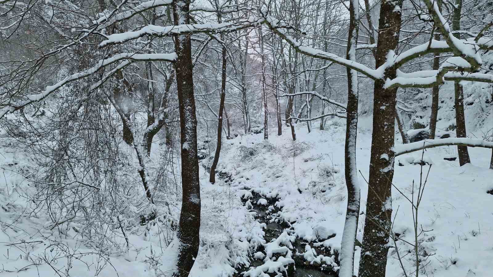 Tekirdağ’ın yüksek kesimleri yağan karla beyaza büründü
