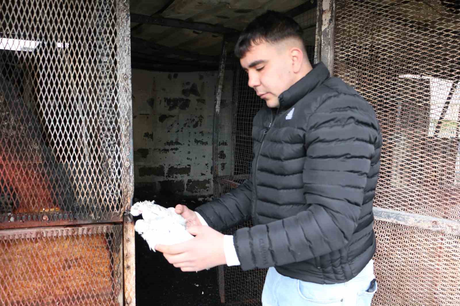 Türkiye’de bir ilkti: Diyarbakır’daki güvercin otelinde çıkan yangında 100’den fazla kuş telef oldu
Türkiye’de bir ilkti: Diyarbakır’daki güvercin otelinde çıkan yangında 100’den fazla kuş telef oldu