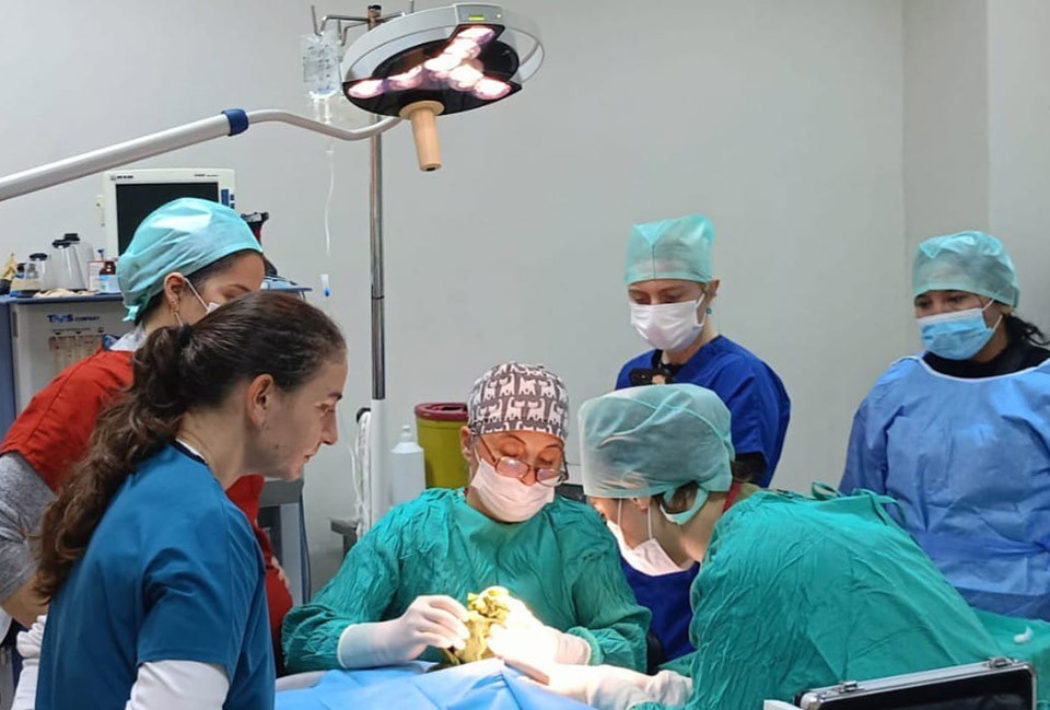 Veteriner Fakültesinde 3 bin hayvana şifa
Veteriner Fakültesinde 3 bin hayvana şifa