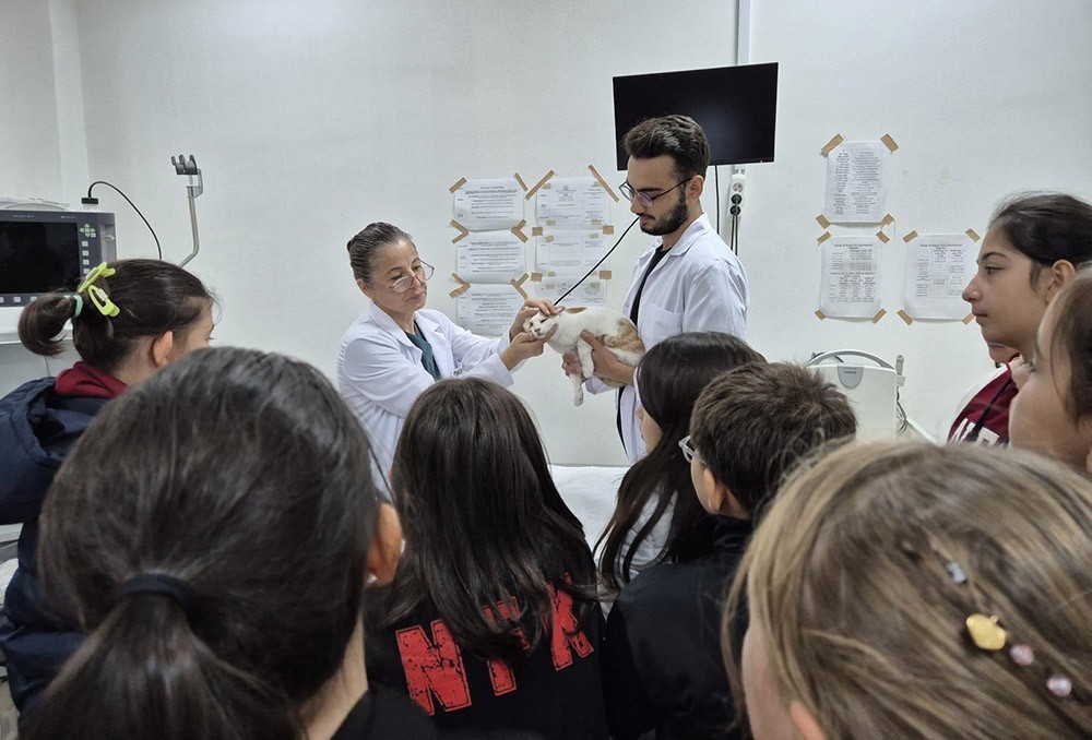 Veteriner Fakültesinde 3 bin hayvana şifa
Veteriner Fakültesinde 3 bin hayvana şifa