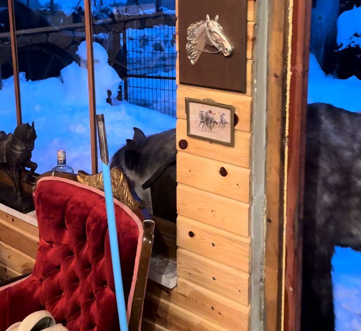 Yabani yılkı atları evine kadar geldi, ortaya samimi anlar çıktı: "Hoş geldiniz"
Yabani yılkı atları evine kadar geldi, ortaya samimi anlar çıktı: "Hoş geldiniz"