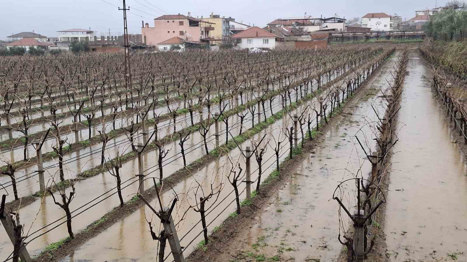 Yağmurlar bağcıların yüzünü güldürdü
Yağmurlar bağcıların yüzünü güldürdü