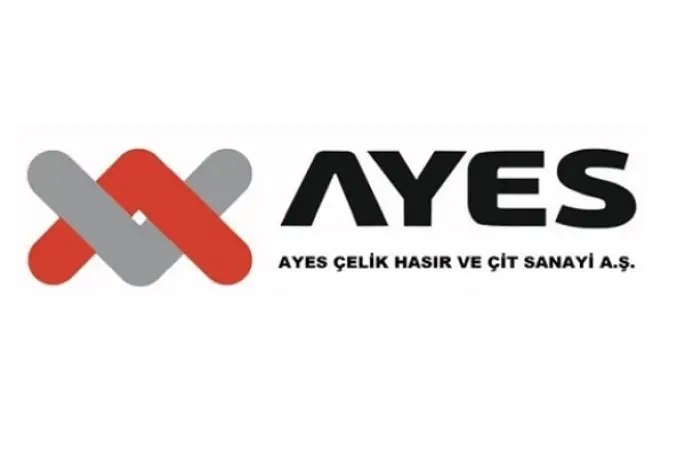 Ayes Çelik Hasır'dan bağlı ortaklığını yeniden yapılandırma kararı