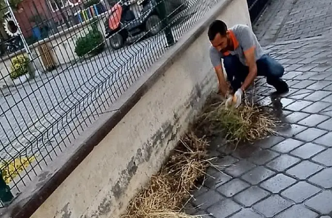 Burhaniye'de Mazgal Temizliği Çalışmaları Titizlikle Sürüyor