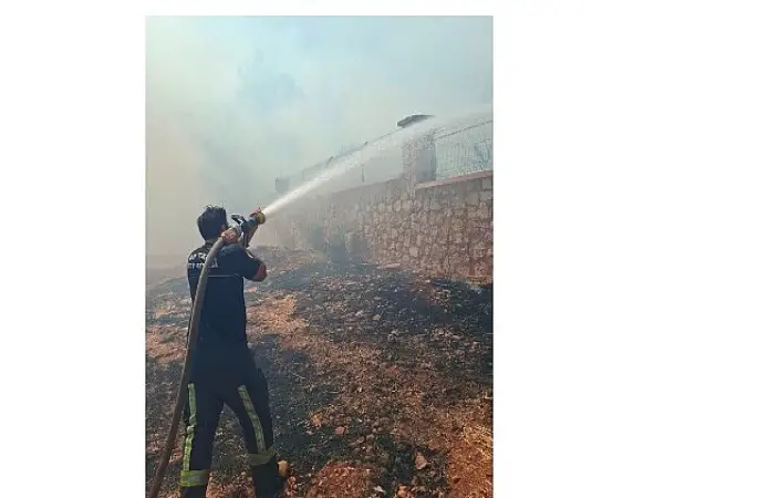 Büyükşehir İtfaiyesi'nden orman yangınına müdahale   
