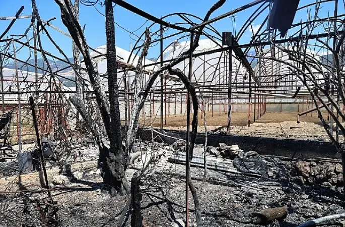 Büyükşehir Kaş'ta yangınzedelerin yanında