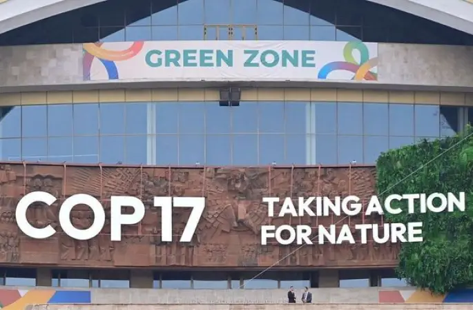 COP17 Başkanı: Çin, müzakerelerin ilerlemesine önemli katkı sağlıyor