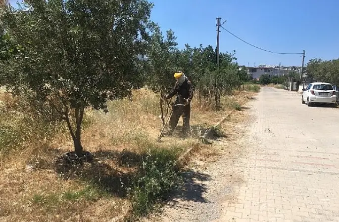 Didim Belediyesi Yeşil Alanlarda Bakım Çalışmalarını Sürdürüyor