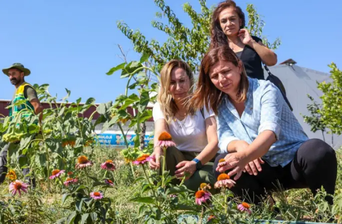 Eşbaşkan Bucak, ekolojik üretim ve tarım projelerini inceledi