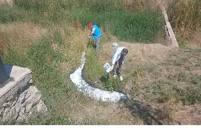 Haşerelere Karşı İlaçlama Çalışmaları Sürüyor  