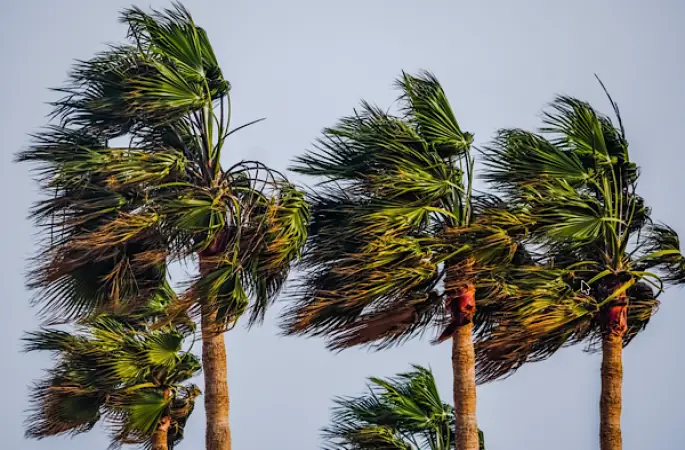 Meteoroloji'den kuvvetli rüzgar uyarısı 