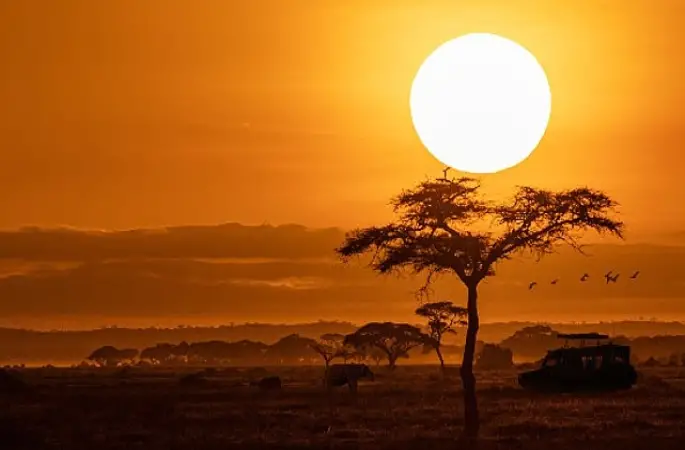 National Geographic NOW Seç-İzle Servisinin Ekim Ayı Teması 'Afrika'!