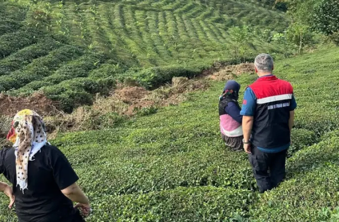 Rize’de tarım alanlarında hasar tespit çalışmaları sürüyor