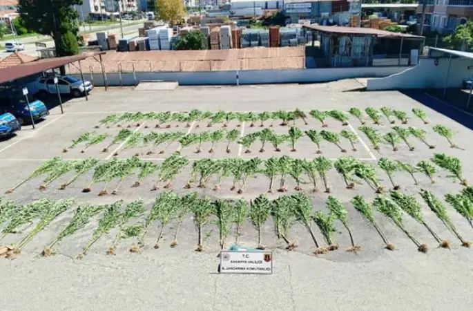 Sakarya’da uyuşturucu operasyonu: 75 gram bozai eve geçirildi