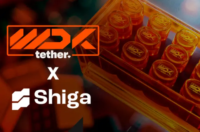 Tether ve Shiga’dan Afrika ve Körfez ülkelerinde finansal iş birliği