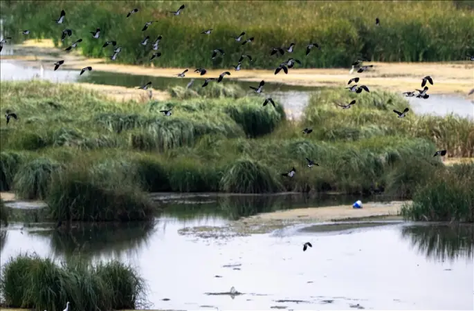 Türkiye'nin doğal sit alanı büyüklüğü 28 bin 907 kilometrekareye ulaştı