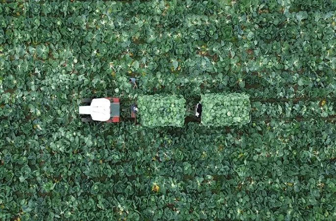 TZOB Genel Başkanı Bayraktar: Çiftçi Kayıt Sistemi'ne başvurmak için son tarih 31 Aralık