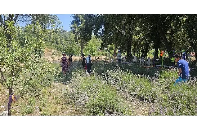 Vatandaşlar Gedelme'nin Mor Güzelliğiyle Buluştu   