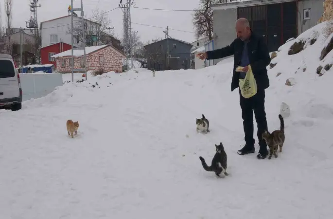 Yaklaşık 2 bin nüfuslu köyde kışın sadece bir aile yaşıyor
