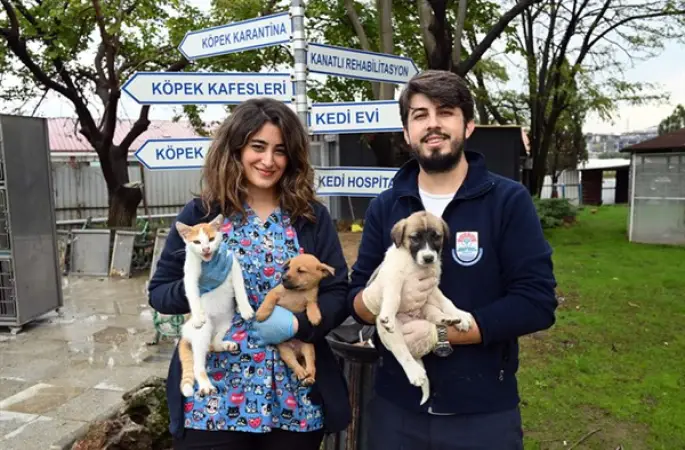 Yalova Belediyesi sahipsiz hayvanların bakım ve tedavilerini sürdürüyor